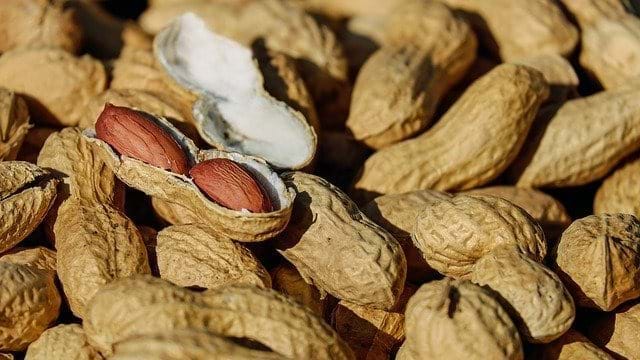 fwaac peanut allergy prevention
